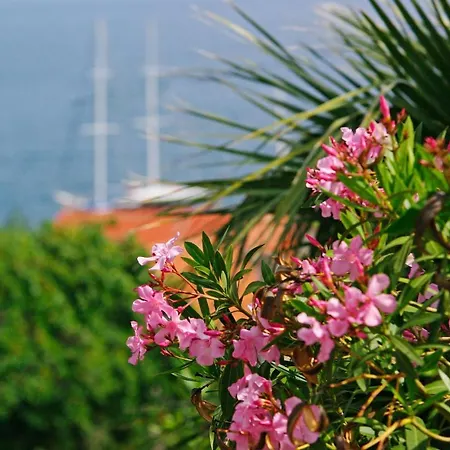 Four-bedroom Holiday In Bol
